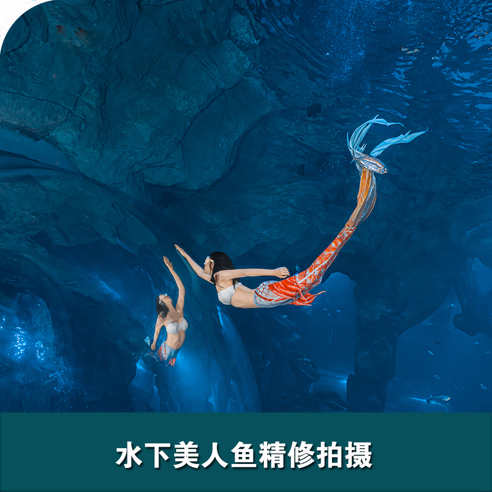 舟山長(zhǎng)喬海洋公園水下美人魚拍攝