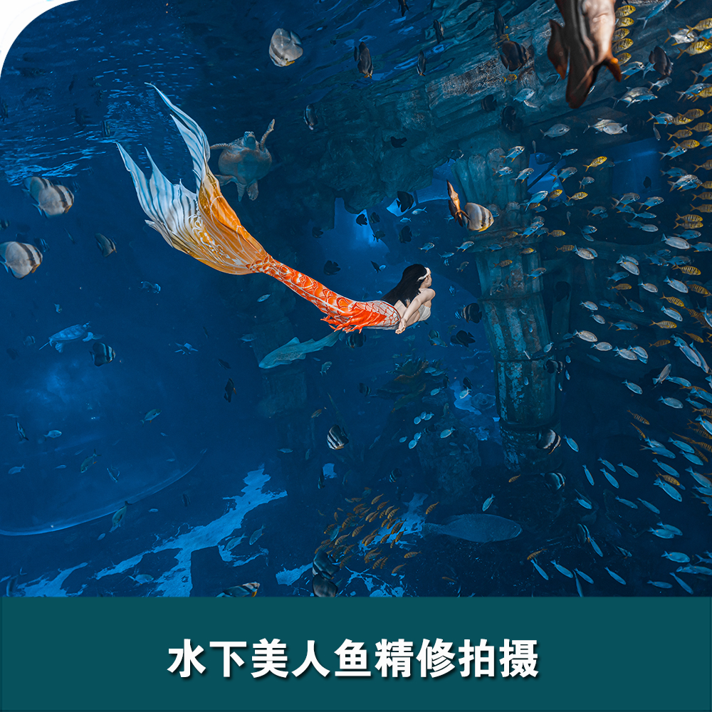 舟山長(zhǎng)喬海洋公園水下美人魚拍攝